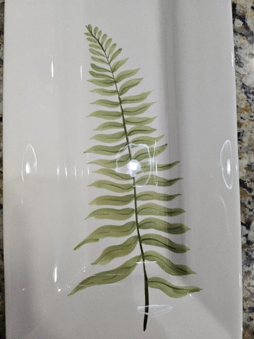 Pottery Barn FERN Botanical Long Rectangular Appetizer Serving Platter 14